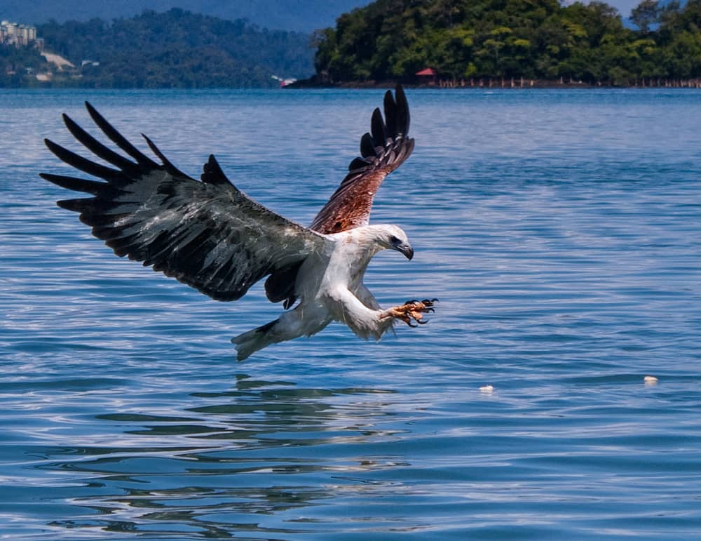 Vì sao Langkawi là thiên đường biển đảo Malaysia